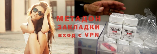 сатива Инта