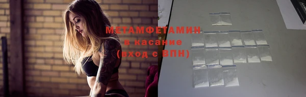 сатива Инта