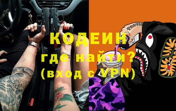 сатива Инта