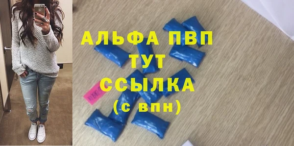 сатива Инта