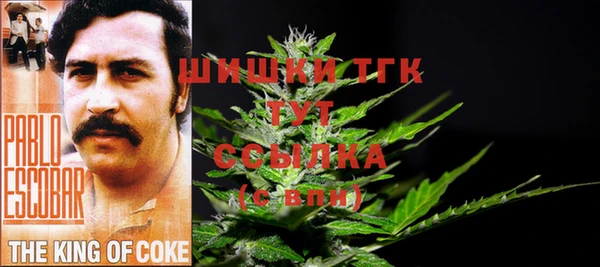 спиды Иннополис