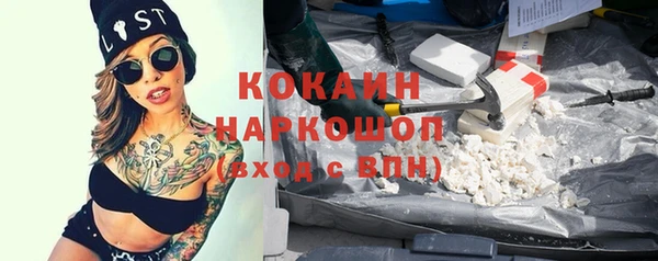 сатива Инта