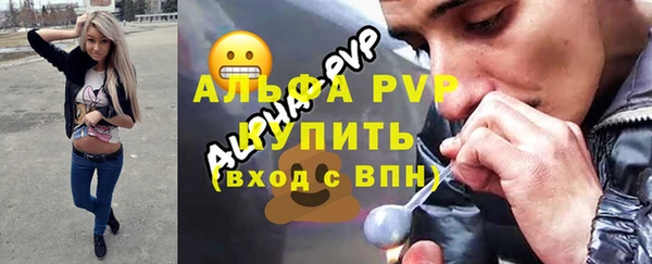 спиды Иннополис