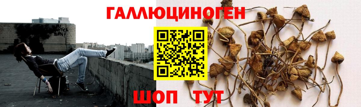 Галлюциногенные грибы прущие грибы  Вход с VPN  Тюмень 